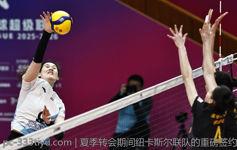 夏季转会期间纽卡斯尔联队的重磅签约亮点