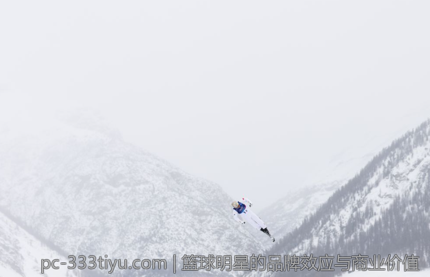 篮球明星的品牌效应与商业价值